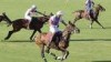 La Isla ganador del Campeonato Absoluto de Polo de España 2009